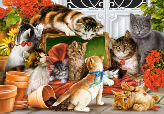 Castorland пазл  Котята  1500 деталей