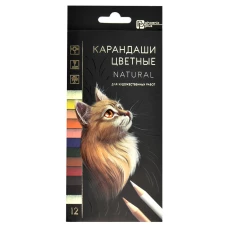 Набор деревянных цветных карандашей 