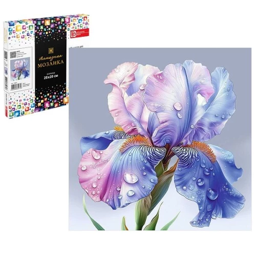 Алмазная мозаика "Ирис", 20*20 см