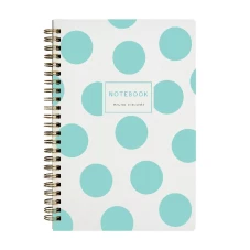 Bruno Visconti   ТЕТРАДЬ НА ГРЕБНЕ, А5, MINT POLKA DOTS60л. клетка