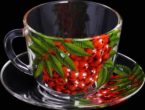 Живая природа.Рябинка