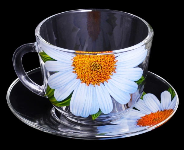 Живая природа.Ромашка