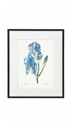 Постеры в рамах под стеклом в ассортменте, Цветы, 20X25X2.5 CM, SiL  