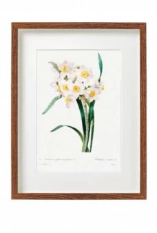 Постеры в рамах под стеклом в ассортменте, Нарциссы, 30X40 см, SiL  
