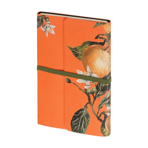 Ежедневник недатированный Bruno Visconti, Flora: Апельсины, А5, 192 страницы
