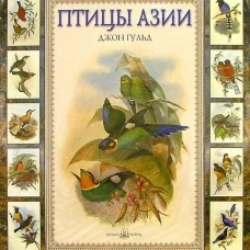 Птицы Азии