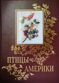 Птицы Америки