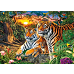 Castorland "Семья тигров", 180 элементов
