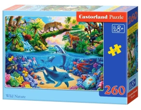 Castorland 
