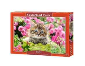 Castorland 