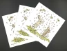 IHR Коктейльные салфетки BLOSSOMS AND BUNNIES, 25x25 см, C 770890