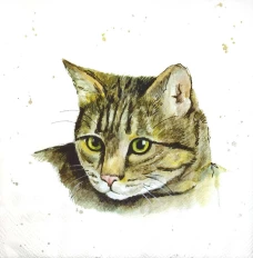 Обеденные салфетки 33Х33  FARMFRIENDS CAT L 860100