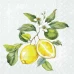 IHR Коктейльные салфетки Лимоны, 25x25 см, C1035128