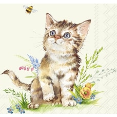 Салфетки Бумажные (Коктейльные) 