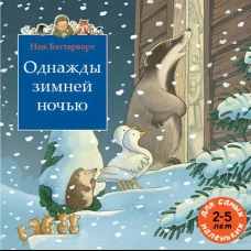 Однажды зимней ночью: сборник сказочных историй