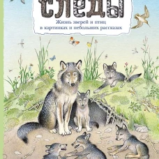 Приключение в дороге