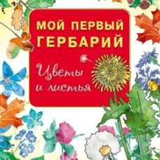 Мой первый гербарий. Цветы и листья