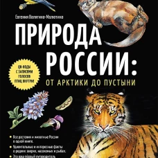 Природа России: от Арктики до пустыни. Моё первое путешествие