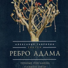 Ребро Адама.Пряные письмена памяти пяти Платоновых пространств