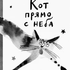 Кот прямо с неба