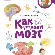 Как устроен мозг. Детская энциклопедия (Чевостик) (Paperback)