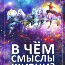 В чём смыслы жизни?