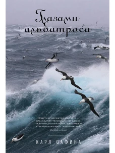 Глазами альбатроса