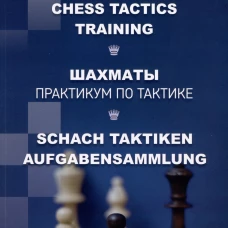 Шахматы. Практикум по тактике