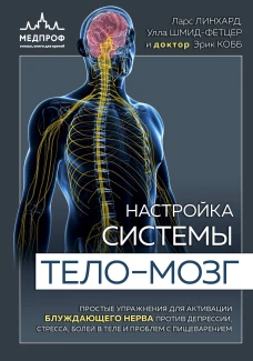 Настройка системы тело—мозг