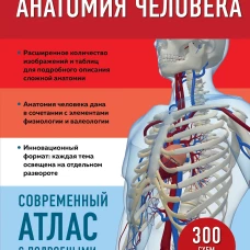 Анатомия человека. Современный атлас с подробными иллюстрациями
