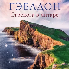 Стрекоза в янтаре