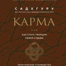 Карма. Как стать творцом своей судьбы (бизнес)