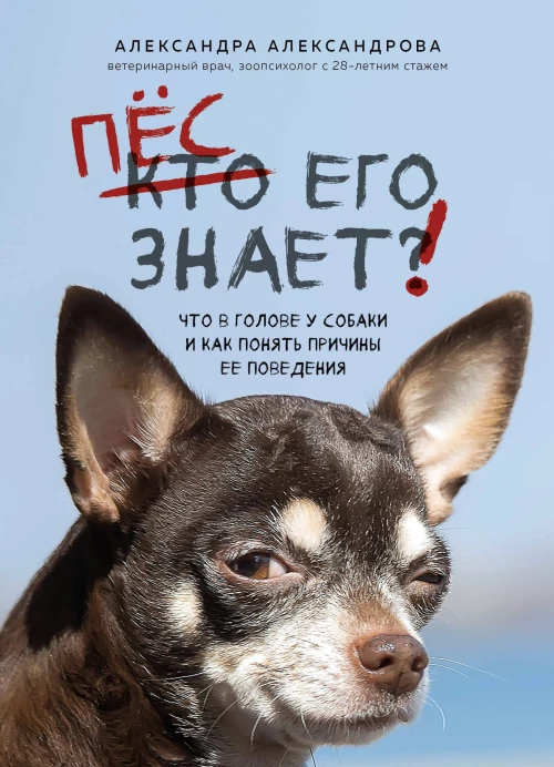 Пес его знает! Что в голове у собаки, и как понять причины ее поведения