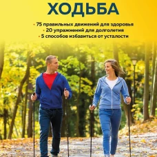 Скандинавская ходьба: правила, техники, выбор инвентаря