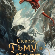 Сквозь тьму и свет