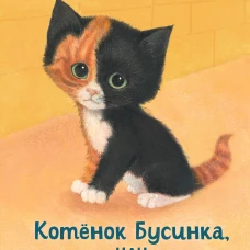 Котенок Бусинка или Друг с железной дороги (выпуск 49)