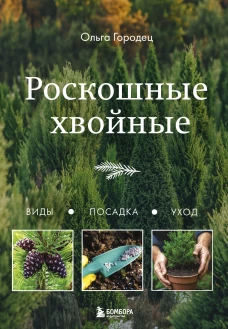 Роскошные хвойные. Виды посадка уход
