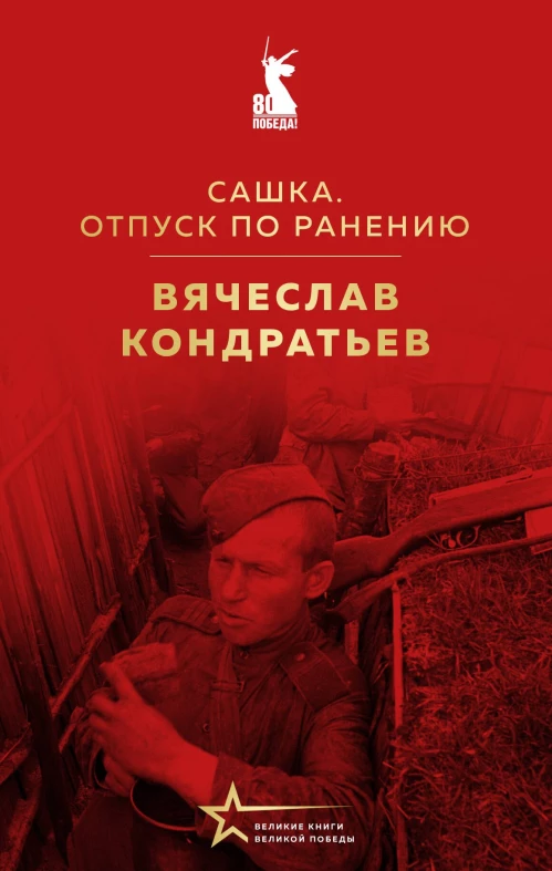 Сашка. Отпуск по ранению