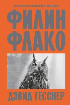 Филин Флако: История самой знаменитой птицы в мире