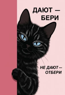 Дают - бери не дают - отбери! Ежедневник недатированный (А5 72 л.)