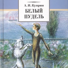 Белый пудель