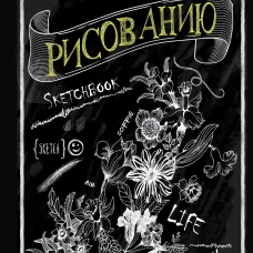 Творческий курс по рисованию