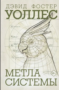 Дэвид Уоллес: Метла системы