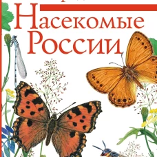 Насекомые России