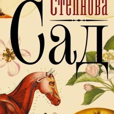 Сад
