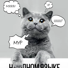 На одном языке с кошкой