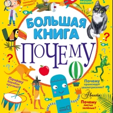 Большая книга почему