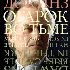 Огарок во тьме
