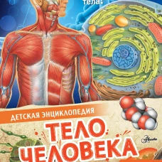 Тело человека
