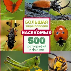 Большая энциклопедия о насекомых. 500 фотографий и фактов